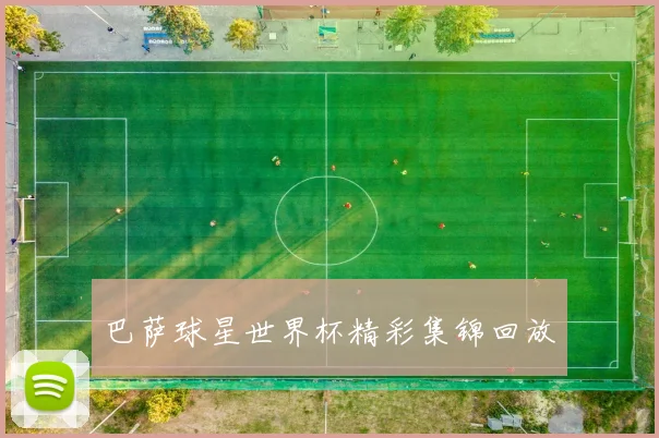 巴萨球星世界杯精彩集锦回放