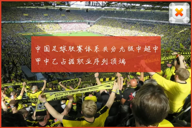 中国足球联赛体系共分九级中超中甲中乙占据职业序列顶端