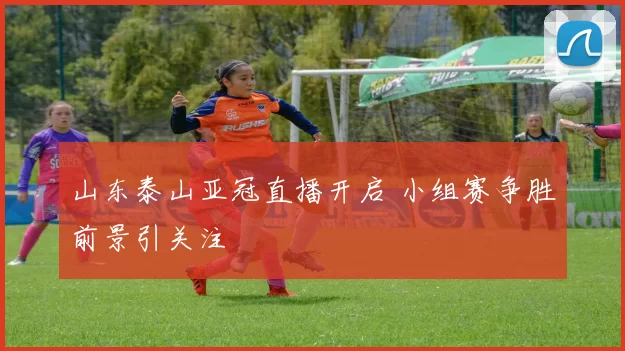 山东泰山亚冠直播开启 小组赛争胜前景引关注